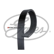 ������ ������������ XF Gates 6PK1730 6PK1730 ����