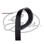 ������ ������������ Gates 7PK1243 7PK1243 ����