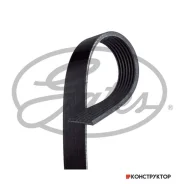 ������ ������������ XF Gates 7PK1793 7PK1793 ����