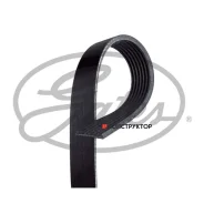 ������ ������������ XF Gates 7PK2418 7PK2418 ����