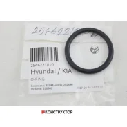 ������ �������������� ������� ���������� Hyundai-KIA 2546221010 2546221010 ����