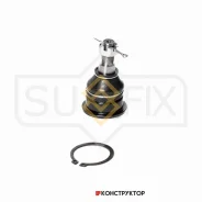 ����� ������� | ����� ����/��� | Sufix SG1293 SG1293 ����