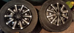 Diewe Trina. x5.5" ����