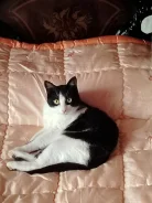 �����. ����