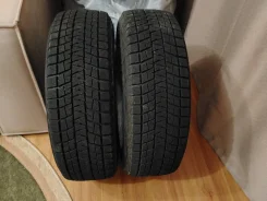 Bridgestone Blizzak DM-V1. ������, ��� �����, 2020 ���, �/�, ����� 10 %. ��� ���� ����