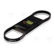 ������ ������������ Trialli 4PK875 4PK875 ����