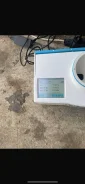 ���. ����