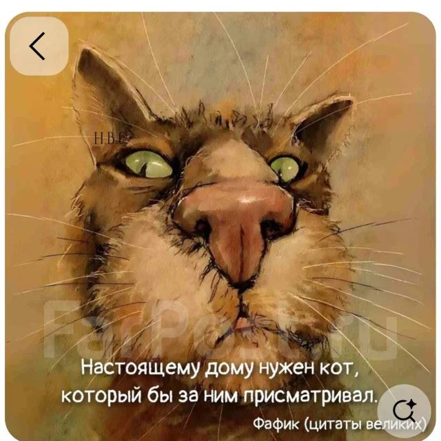 �����. ����
