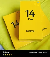 Realme 14 Pro+ 5G. �����, 256 ��, �����, 5G, Dual-SIM ����