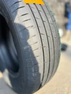Tercelo Tercesis Eco. ������, �����. ��������� ����