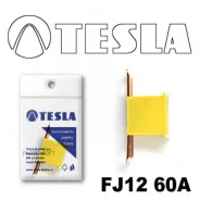 ����������������� ���������� Tesla FJ1260A FJ1260A ����