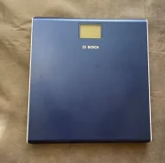 ���� ���������. ����