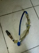 ������ ���� Ford Focus 2011 DV6A9G444AA CB8 XQDA, ����� DV6A9G444AA ����