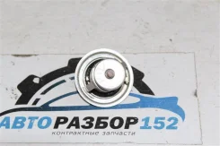 ��������� Nissan Primera 2002-2007 212006N210 TP12 QR20DE 212006N210 ����
