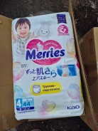 Merries. 9-14 �� 44��� ����