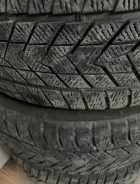 ZMax Winternova Stud II. ������, ��� �����, 2025 ���, �/�, ����� 20 % ����