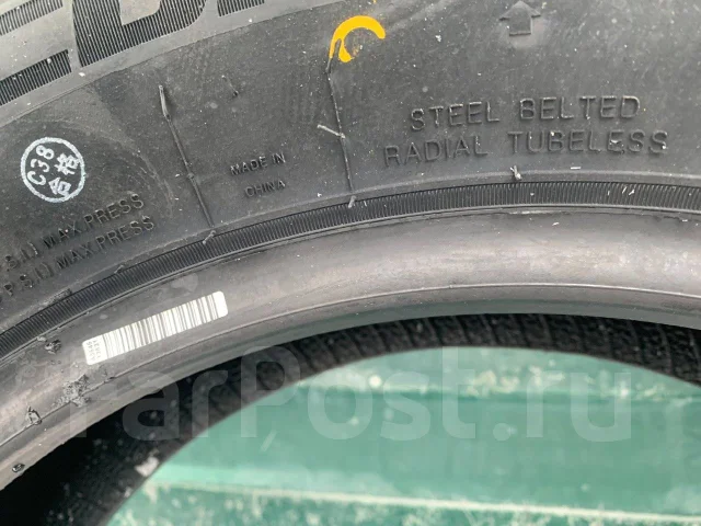 Compasal Winter Stud. ������, ����������, 2025 ���, ����� ����