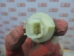 ������ ����� Vortex Tingo 2011 T11 SQR 481FC ����