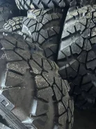 TyRex CRG O-184. ����� mt, 2025 ���, ����� ����