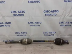������ Mercedes-Benz ML A1643301901 W164 3.0D, �������� ������ A1643301901 ����