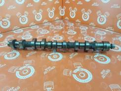 ���������� ��������� Peugeot 307 0801Z1 TU5JP4 0801Z1 ����