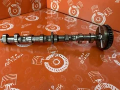 ���������� Volkswagen Golf 06H109088C CCZB 06H109088C ����