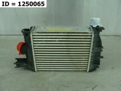 ���������� Renault Arkana 2019 144965154R 1 144965154R ����