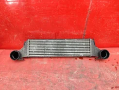 ���������� BMW X5 2003-2006 17517791231 E53 17517791231 ����
