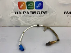 ������ ��������� Ford Focus 3M519G444DC 2 3M519G444DC ����