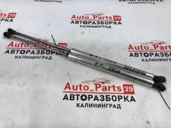 ����������� ������ ��������� Volkswagen Passat 2001 1J6827550C B+ 1.9 TDI AVF 1J6827550C ����