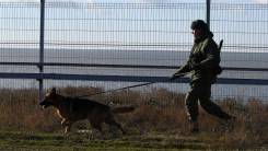   .  .  ,   , ,   (. ) 1 