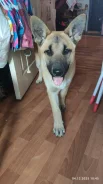 �������. ����