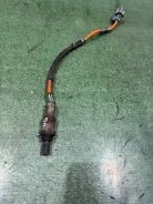 ������ ����������� Honda Mobilio Spike 2005 36532PYCJ12 GK2 36532PYCJ12 ����