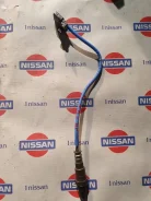������ ����������� Nissan Qashqai 2017 226932962R J11 K9K, �������� 226932962R ����
