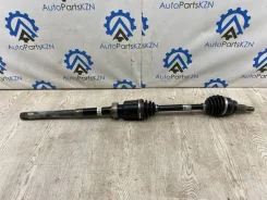 ������ Mazda CX-5 2022 KF PY, �������� ������ ����