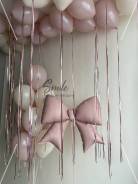 ���� �� ������� �� �������. �������� ����