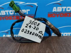 ������ ����������� Peugeot 3008 2013 0258010081 10FJBW 0258010081 ����