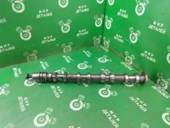���������� �������� Kia Ceed 241002B020 G4FC 241002B020 ����