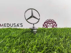 ������� Mercedes-Benz GLS-Class 2018 0001 X166 3.0 Diesel OM642 0001 ����