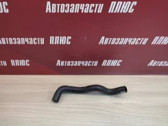 ������ ���������� ������� Renault Sandero Stepway 118262575R 118262575R ����