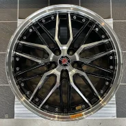 Kyoho Steiner LMX