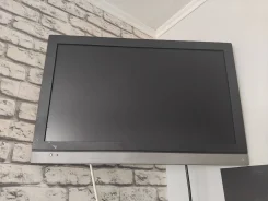 ����� ����