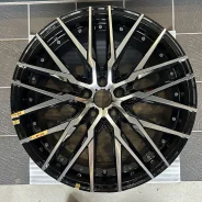 Kyoho Steiner CVX