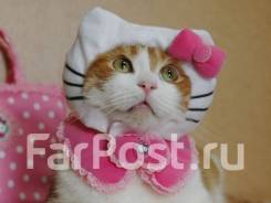 ��������-�����������. �� ��������� �. �. �������������� ������� "��������". ����� �������� 16 ����