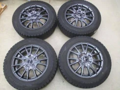 WSP Cetara