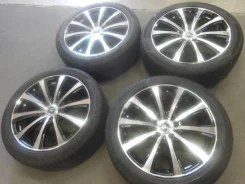 Black Mamba Cerebros