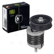 ����� ������. ����� VW Passat B5 (96-) 1.9d [EA180] (� �����. ���. ) (CM 5320) Trialli CM5320 CM5320 ����