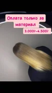 ����������� ����������� �����. ����