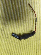 ������ ��������� ��������� 94BF6C315AA ����