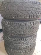 Tigar Winter. ������, ��� �����, 2021 ���, �/�, ����� �� 5 % ����